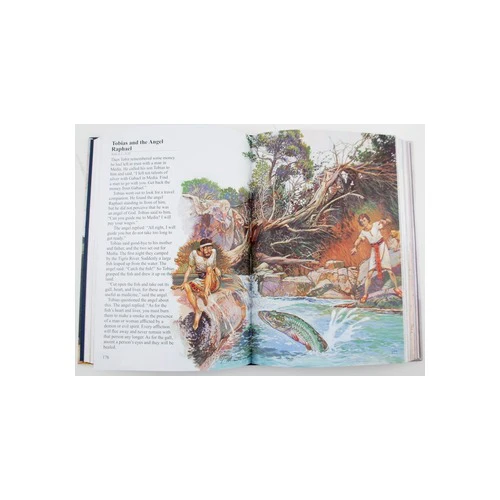 The Illustrated Catholic Children's Bible - Image 3