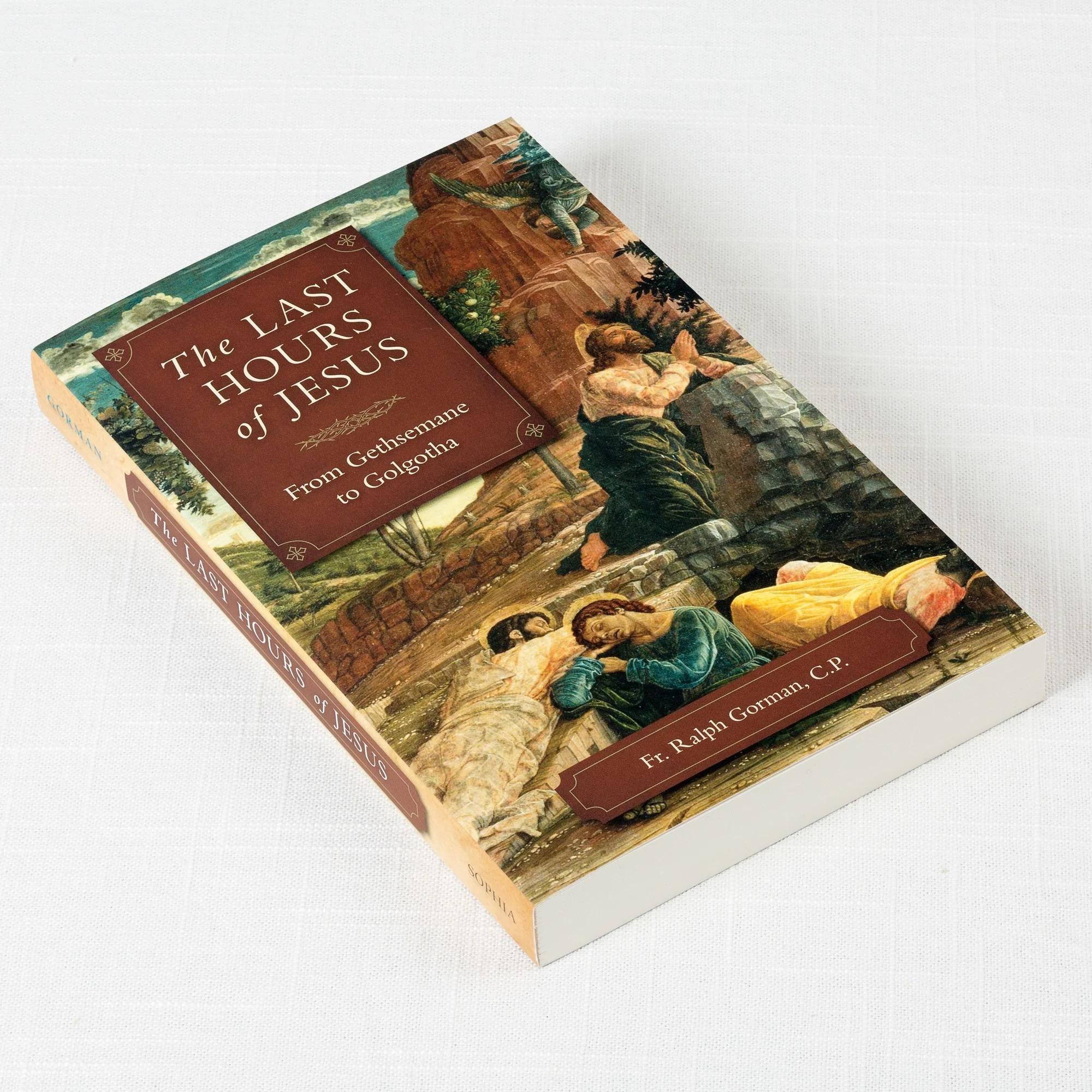 The Last Hours of Jesus - From Gethsemane to Golgotha - Image 2