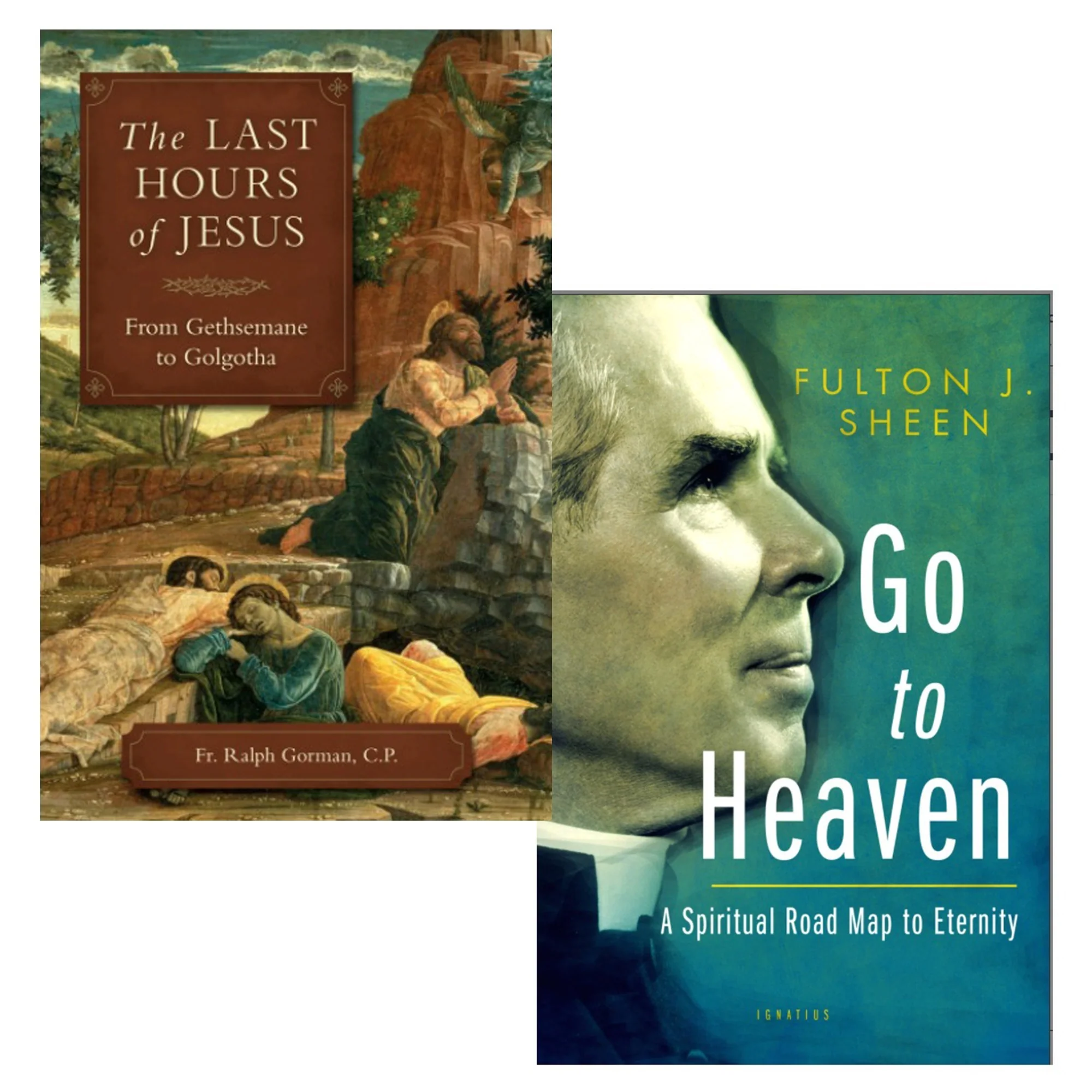 The Last Hours of Jesus & Go to Heaven (2 Book Set) - Image 2