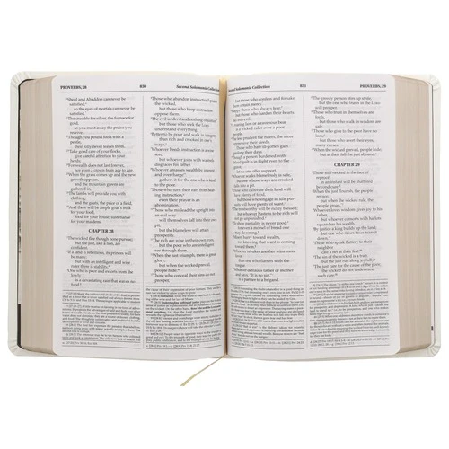 The Madonna of the Streets Bible - Image 13