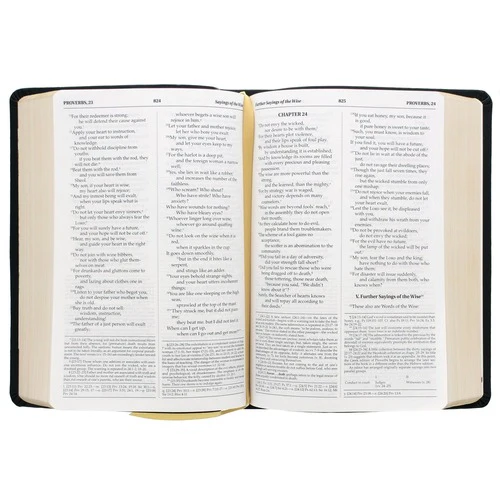 The Madonna of the Streets Bible - Image 2
