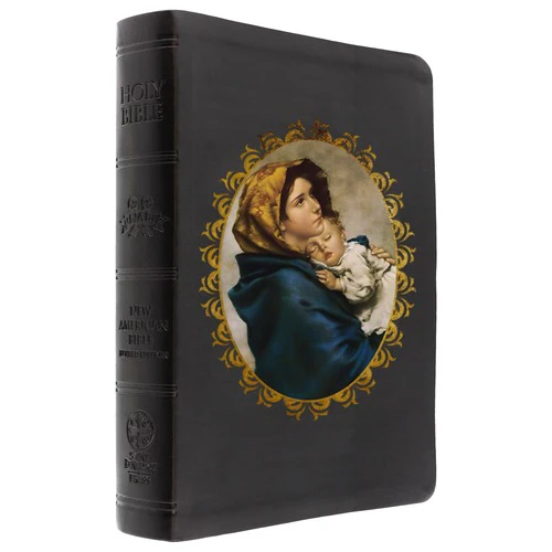 The Madonna of the Streets Bible - Image 3