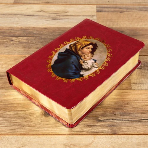 The Madonna of the Streets Bible - Image 4