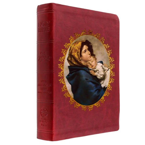 The Madonna of the Streets Bible - Image 5