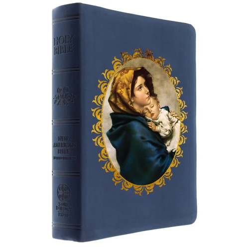 The Madonna of the Streets Bible - Image 9