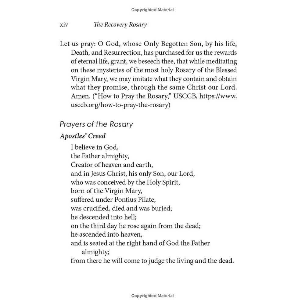 The Recovery Rosary: Meditations for Those Impacted by Addiction, Compulsions, and Unhealthy Attachments - Image 7