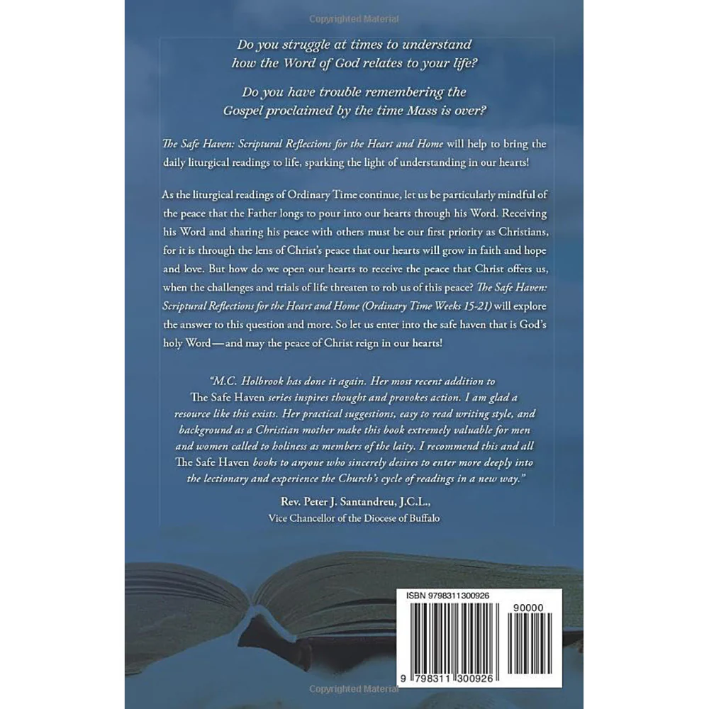 The Safe Haven: Scriptural Reflections for the Heart and Home - Liturgical Year Series - Image 11