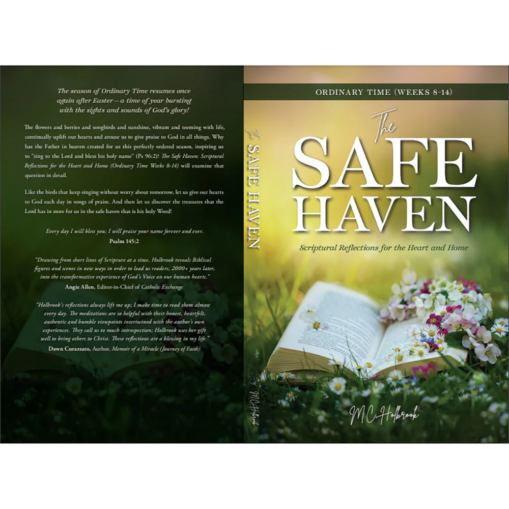 The Safe Haven: Scriptural Reflections for the Heart and Home - Liturgical Year Series - Image 5