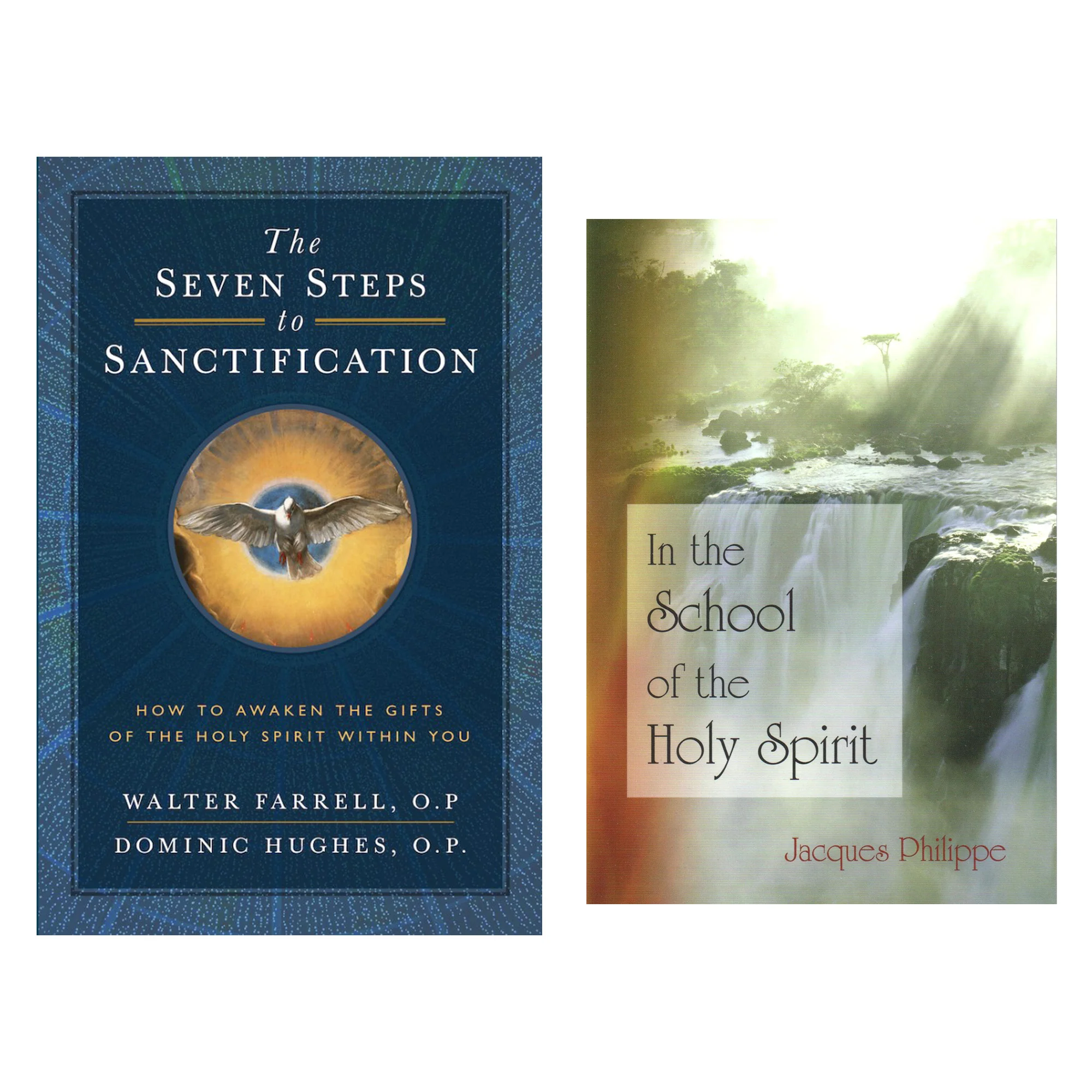 The Seven Steps to Sanctification and In the School of the Holy Spirit Set - Image 2