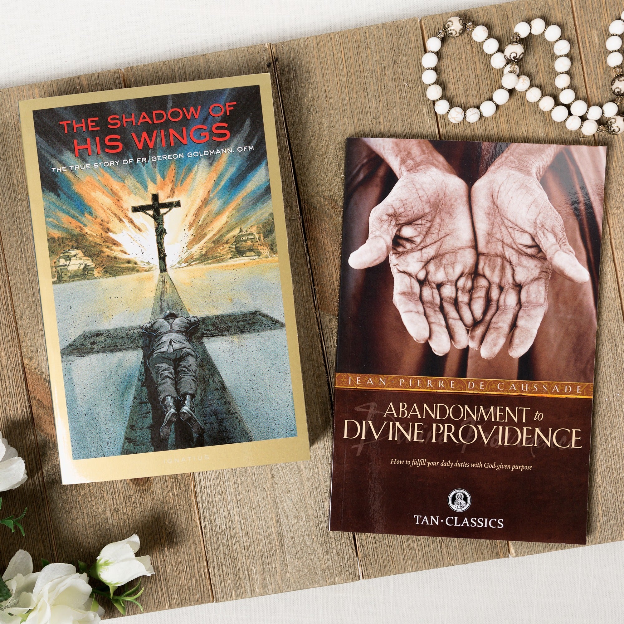 The Shadow of His Wings & Abandonment to Divine Providence (2 Book Set) - Image 2