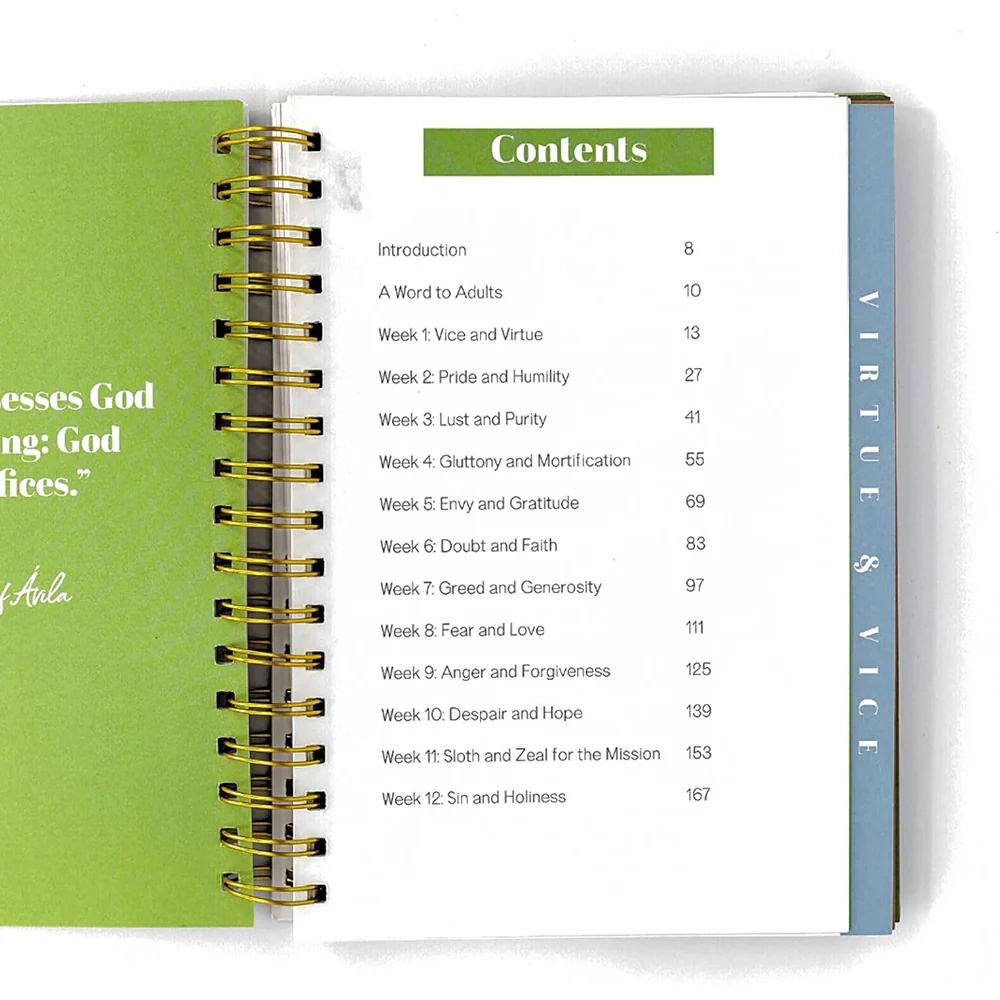 The Virtues for Catholic Youth - Image 3