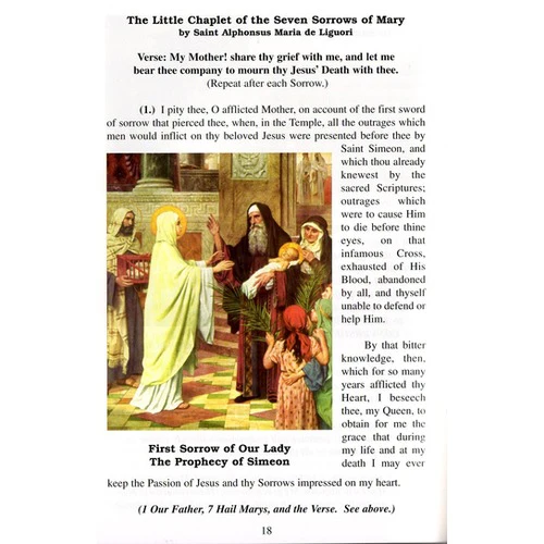 Through the Cross to Victory: Stations of the Cross & the 7 Sorrows Chaplet - Image 3
