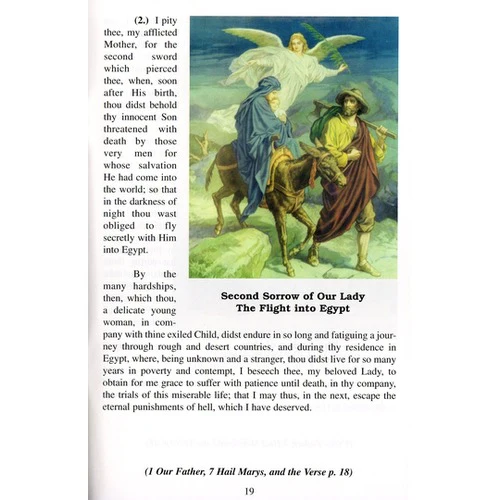 Through the Cross to Victory: Stations of the Cross & the 7 Sorrows Chaplet - Image 4