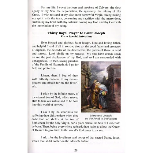 Through the Cross to Victory: Stations of the Cross & the 7 Sorrows Chaplet - Image 5