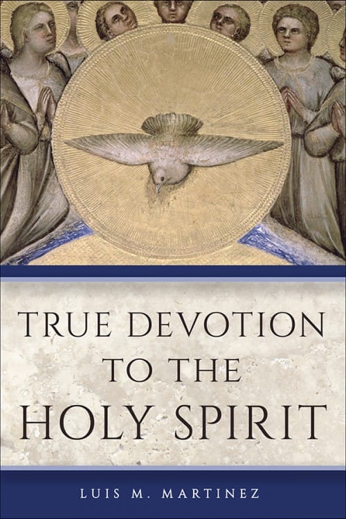 True Devotion to the Holy Spirit - Image 3