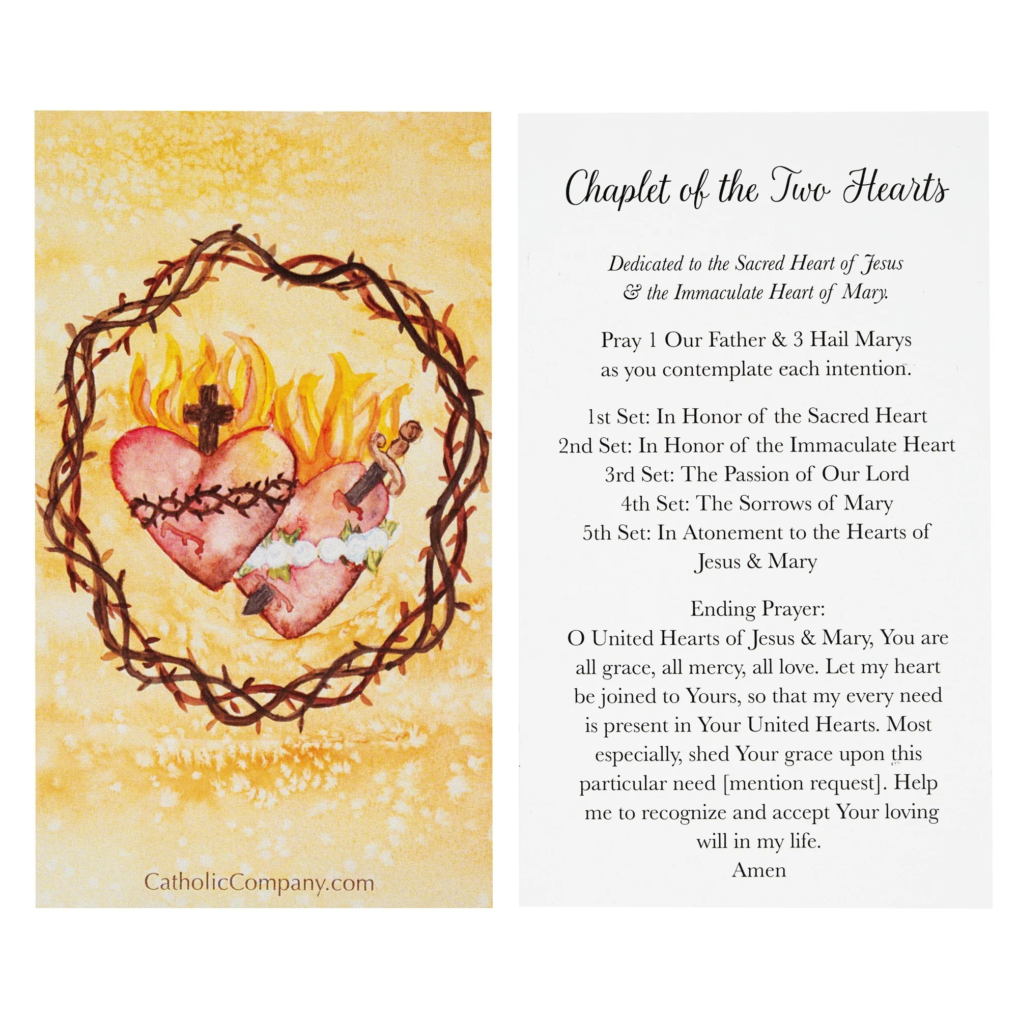 Two Hearts Chaplet Prayer Card - Image 2