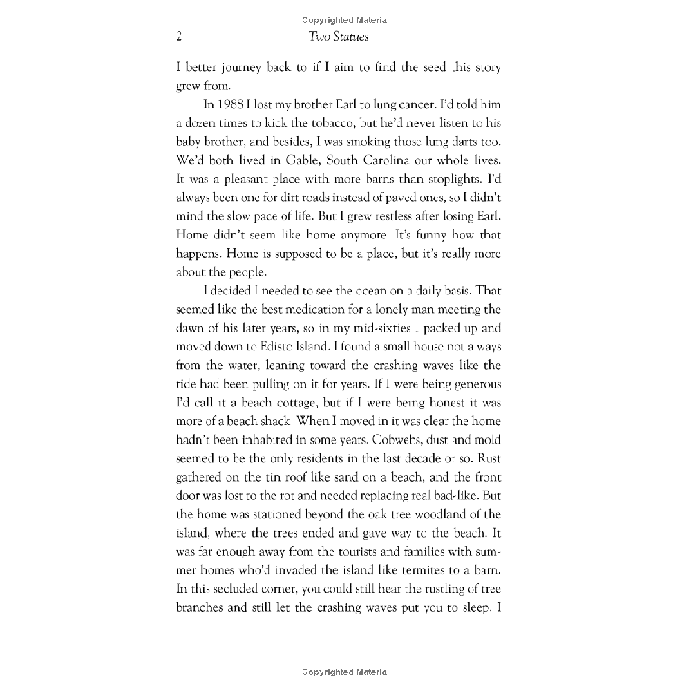 Two Statues - A Novel - Image 3