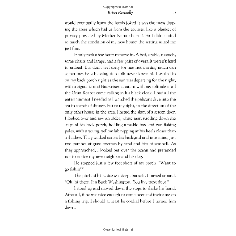 Two Statues - A Novel - Image 4