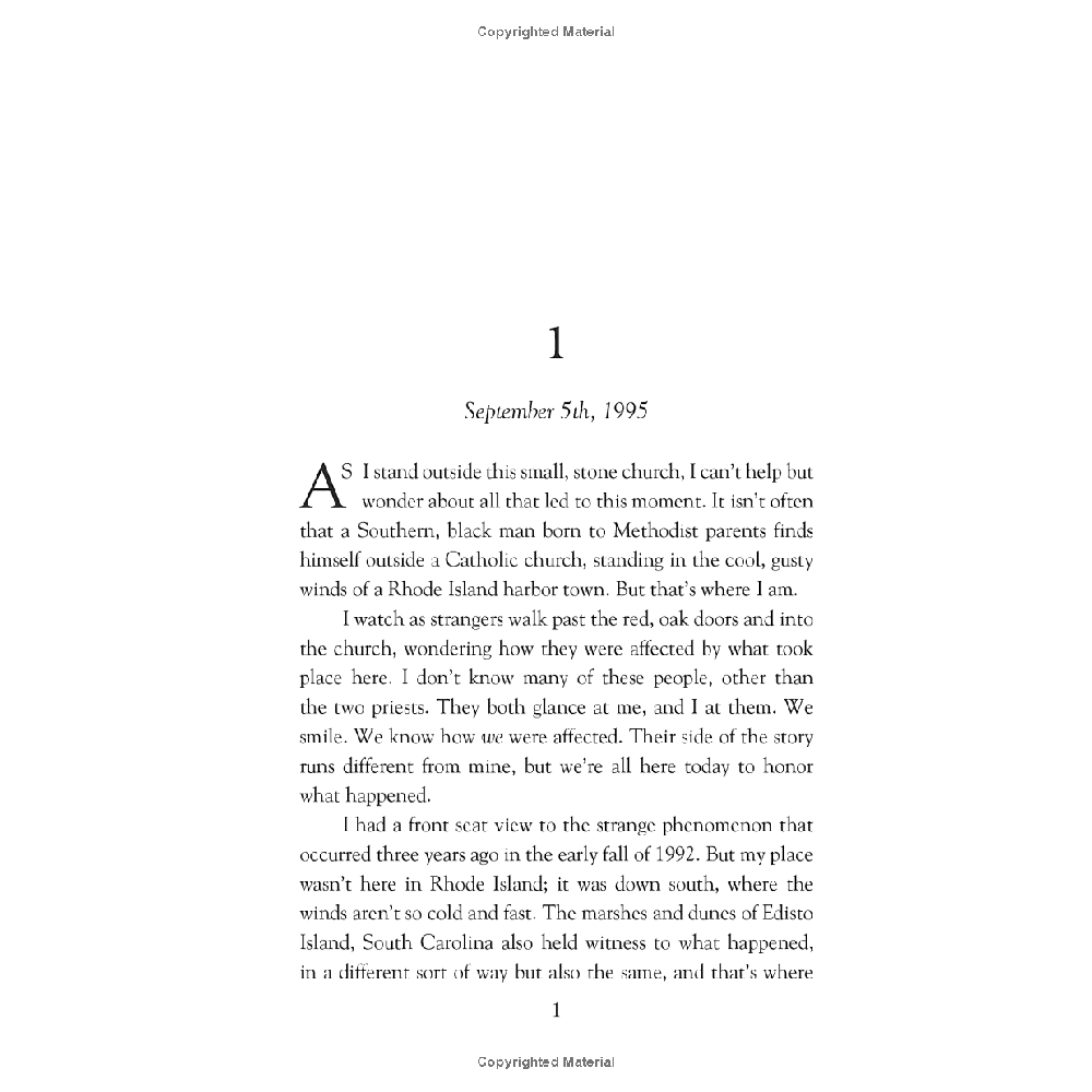 Two Statues - A Novel - Image 7