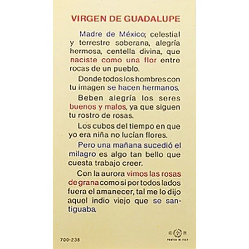 Virgen de Guadalupe, Madre (Our Lady of Guadalupe)  - Spanish Prayer Card - Image 2