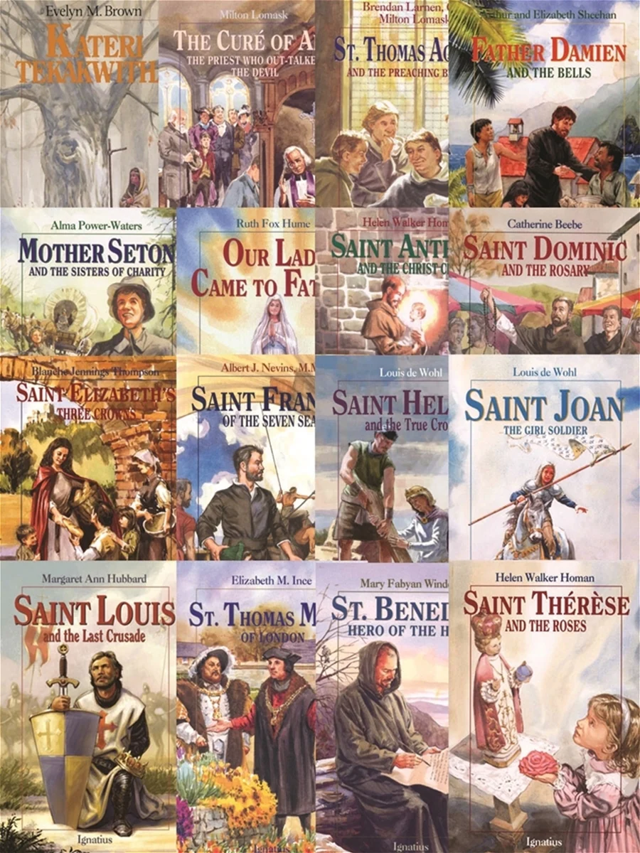 Vision Saint Books Series - 37 Book Set
