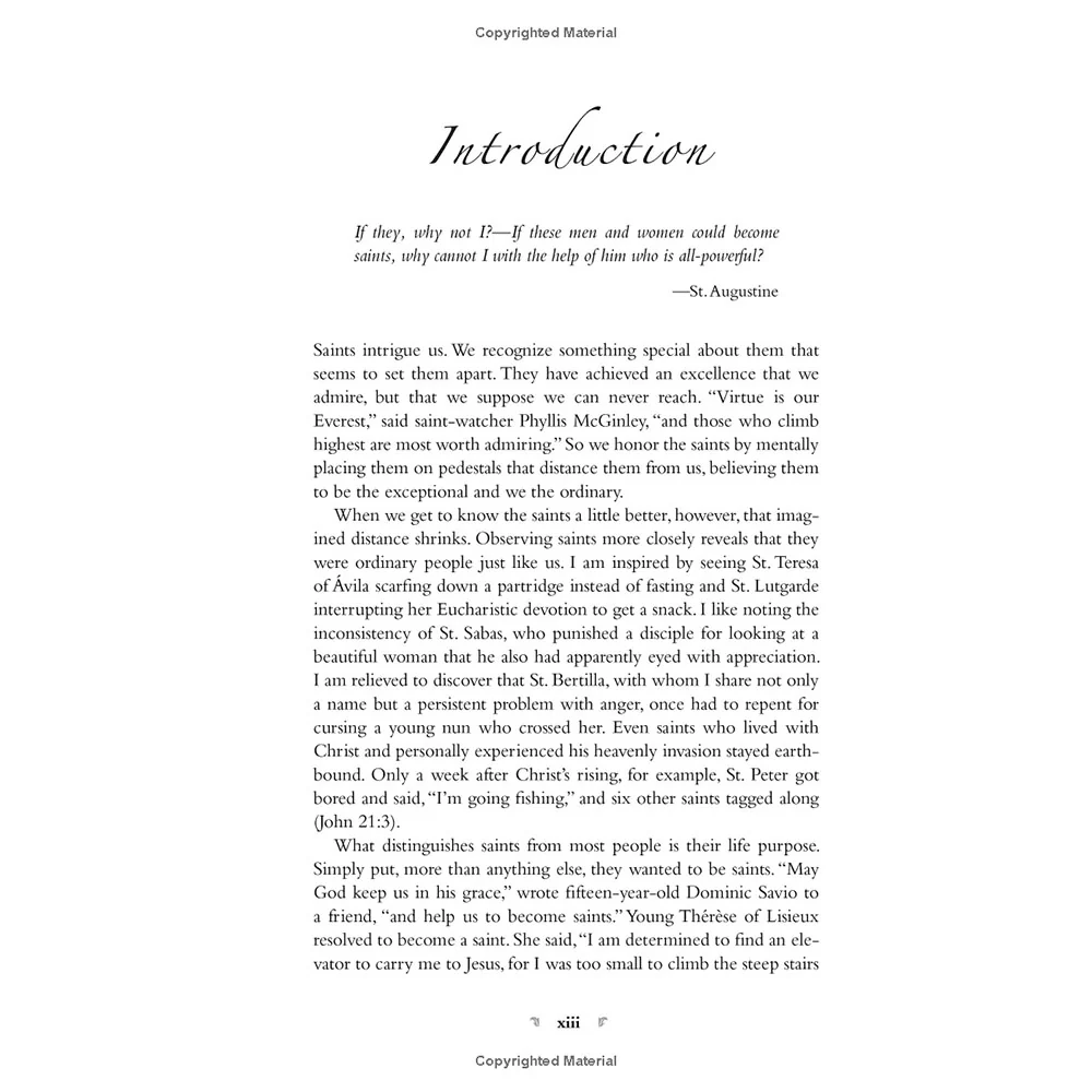Voices of the Saints - Image 5