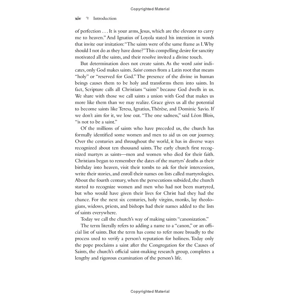 Voices of the Saints - Image 6