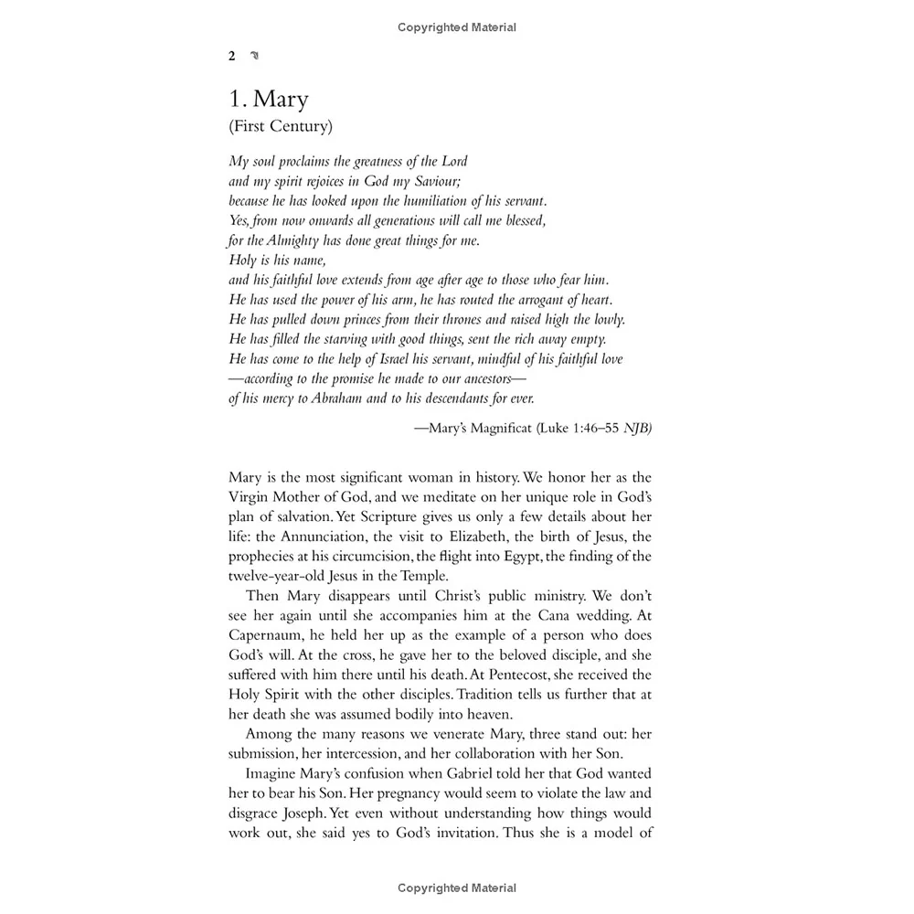 Voices of the Saints - Image 8