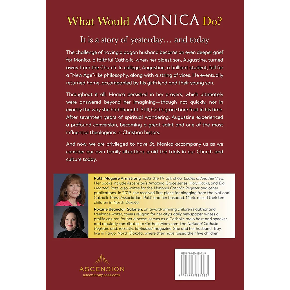 What Would Monica Do? Consolation, Hope, and Inspiration in the Spirit of St. Monica for Those Bearing the Cross of a Loved One Who Is Away from the Faith - Image 4