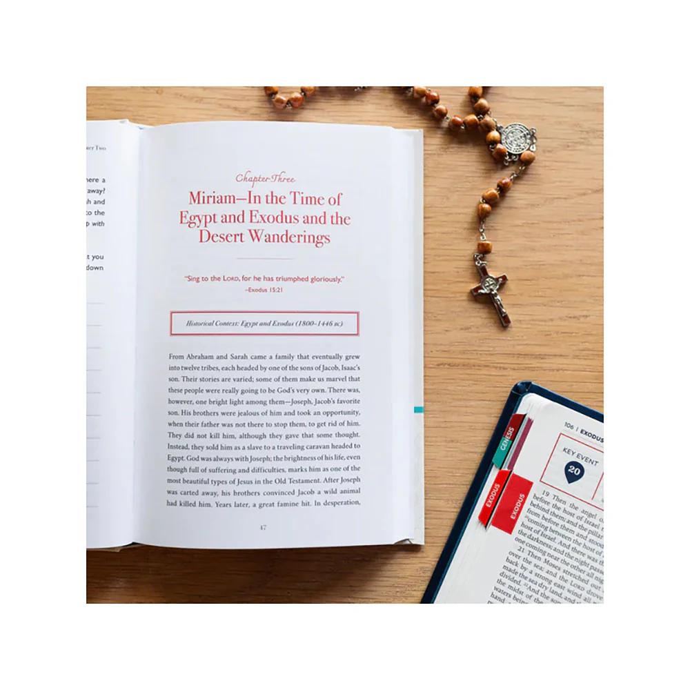 Whispers of Mary: What Twelve Old Testament Women Teach Us About Mary - Image 2