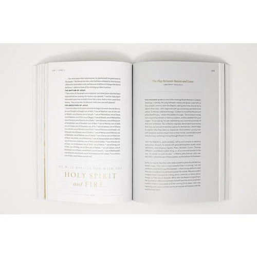 Word on Fire Bible - The Gospels - Image 10