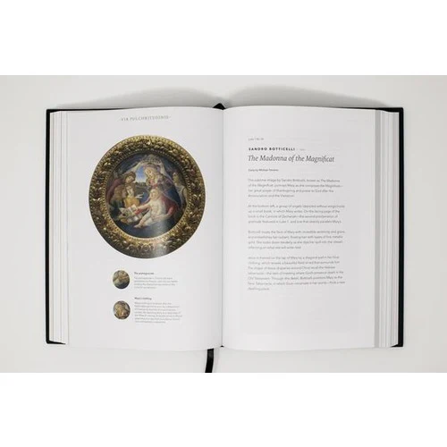 Word on Fire Bible - The Gospels - Image 6
