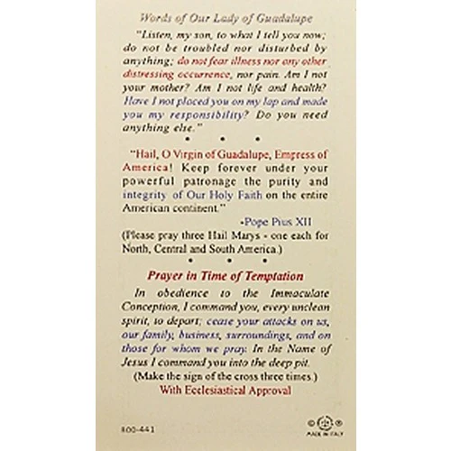 Words of Our Lady of Guadalupe - Prayer Card - Image 2