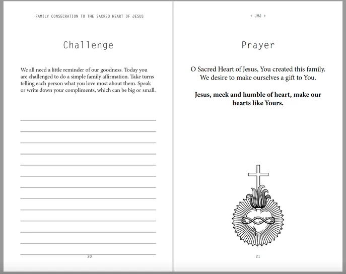 Write Our Name on Your Heart: Family Consecration to the Sacred Heart of Jesus - Image 5