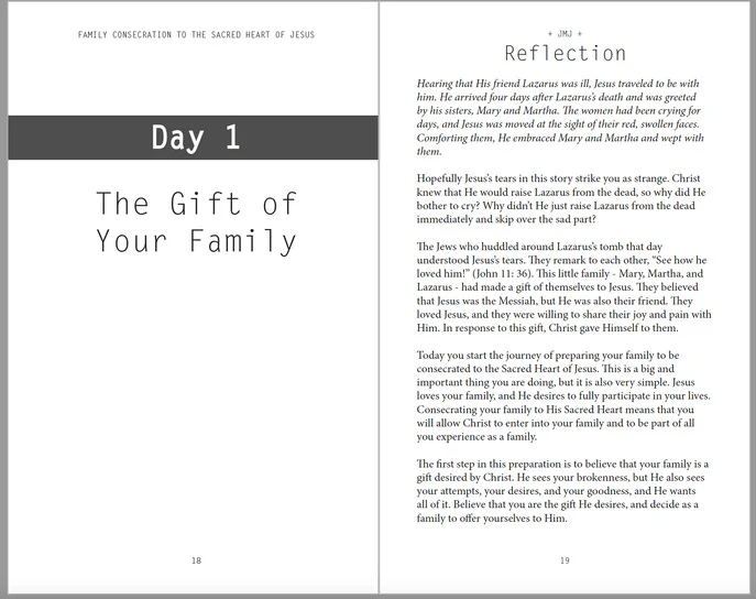 Write Our Name on Your Heart: Family Consecration to the Sacred Heart of Jesus - Image 6